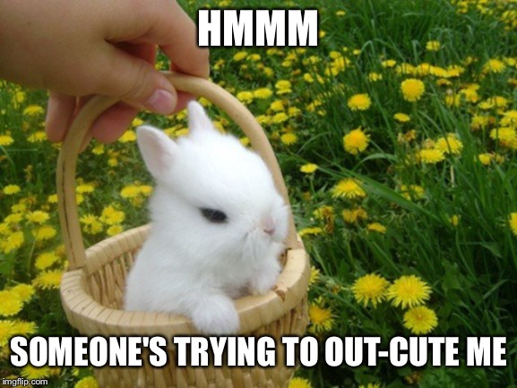 HMMM SOMEONE'S TRYING TO OUT-CUTE ME | made w/ Imgflip meme maker