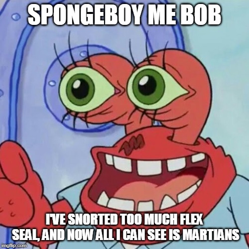 AHOY SPONGEBOB | SPONGEBOY ME BOB; I'VE SNORTED TOO MUCH FLEX SEAL, AND NOW ALL I CAN SEE IS MARTIANS | image tagged in ahoy spongebob | made w/ Imgflip meme maker