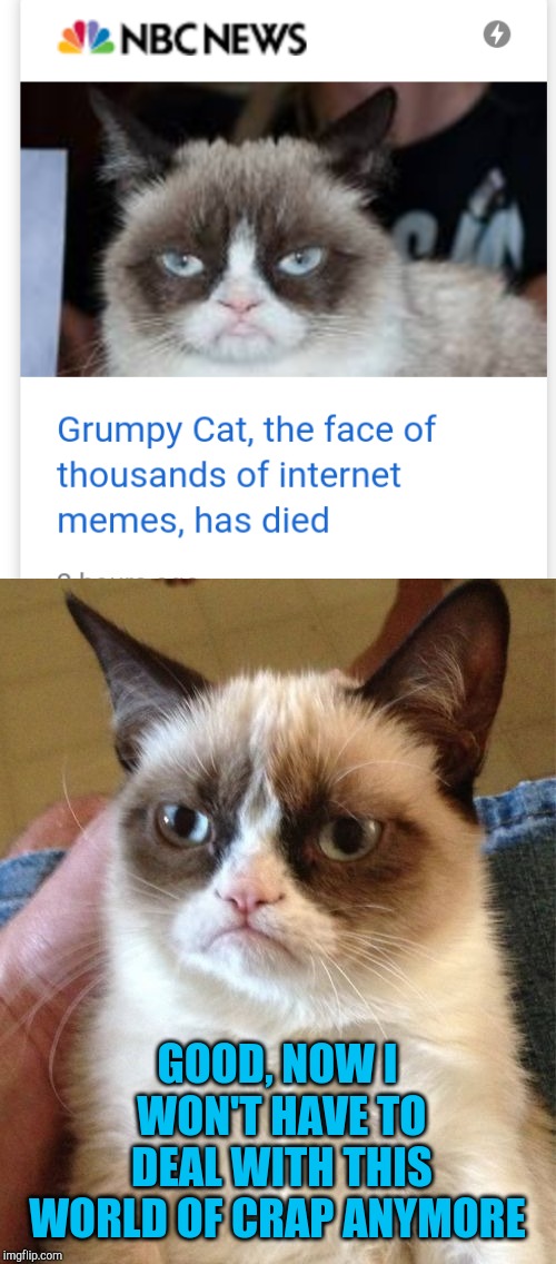 So sad, Grumpy Cat had died. :( She has brought us many laughs. Rest in peace | GOOD, NOW I WON'T HAVE TO DEAL WITH THIS WORLD OF CRAP ANYMORE | image tagged in memes,grumpy cat,jbmemegeek,grumpy cat dies | made w/ Imgflip meme maker