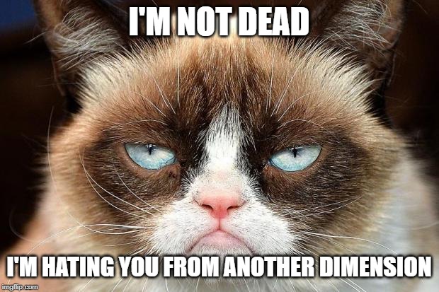 Grumpy Cat Not Amused | I'M NOT DEAD; I'M HATING YOU FROM ANOTHER DIMENSION | image tagged in memes,grumpy cat not amused,grumpy cat | made w/ Imgflip meme maker