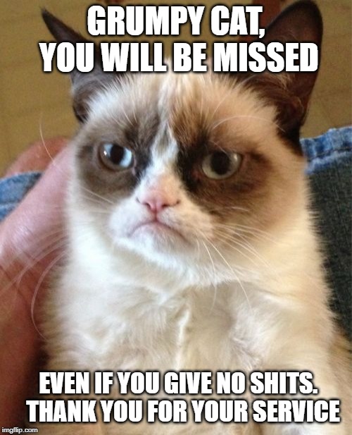 Thank you for your service Tardar Sauce. You will be missed, even if you give no shits. You brought joy to millions. | GRUMPY CAT, YOU WILL BE MISSED; EVEN IF YOU GIVE NO SHITS.   THANK YOU FOR YOUR SERVICE | image tagged in memes,grumpy cat,rip,goodbye | made w/ Imgflip meme maker