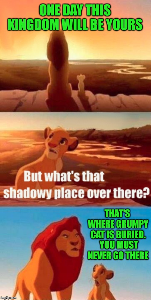 R.I.P.  Tardar Sauce | ONE DAY THIS KINGDOM WILL BE YOURS; THAT'S WHERE GRUMPY CAT IS BURIED.  YOU MUST NEVER GO THERE | image tagged in memes,simba shadowy place,grumpy cat,funny | made w/ Imgflip meme maker