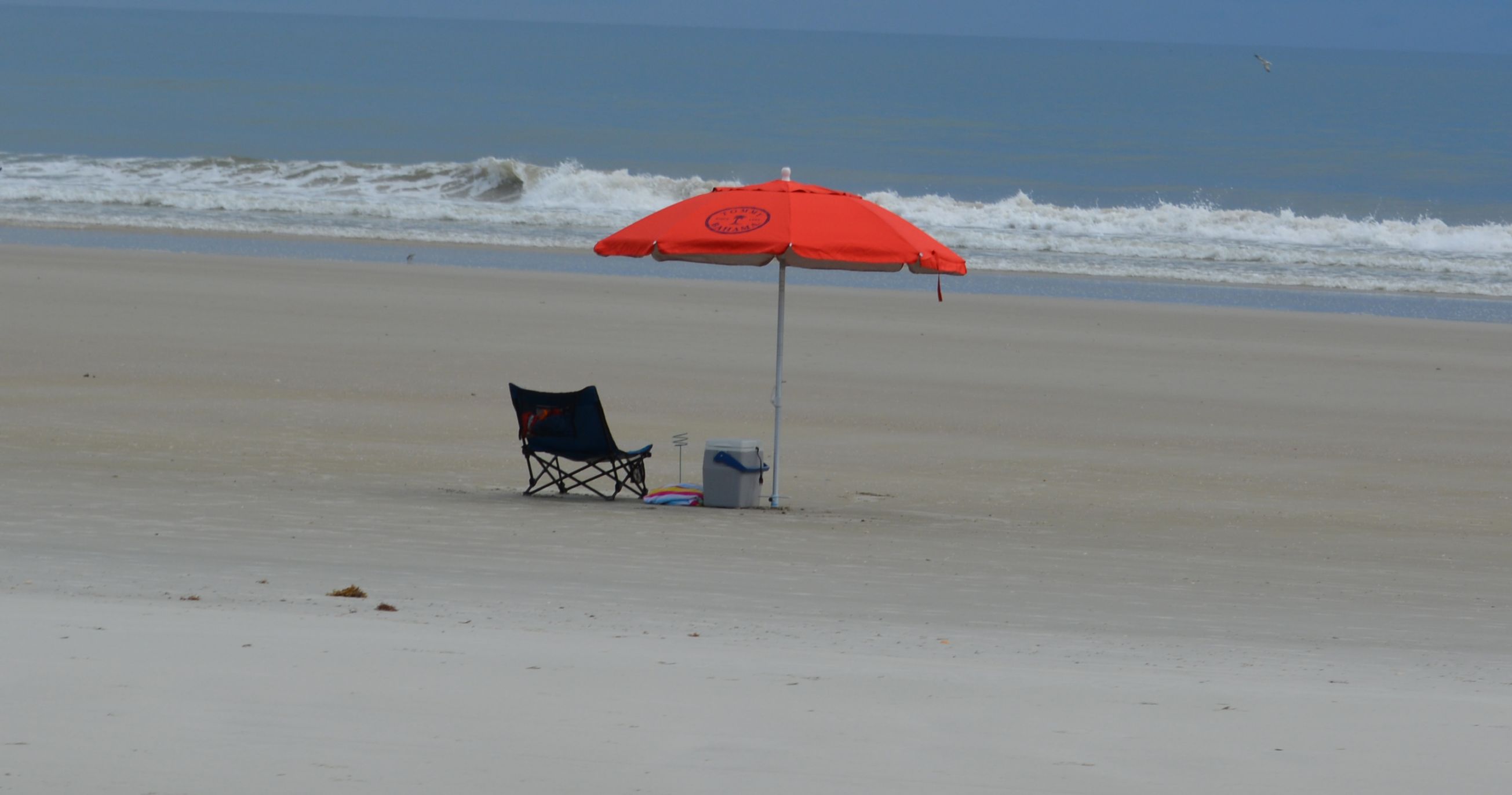 High Quality beach umbrella Blank Meme Template