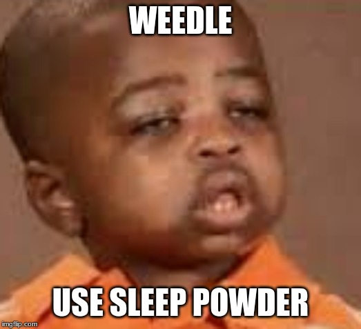WEEDLE; USE SLEEP POWDER | image tagged in what year is it | made w/ Imgflip meme maker