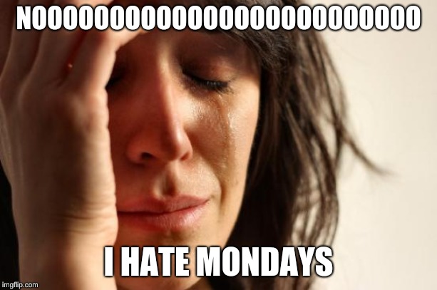 First World Problems | NOOOOOOOOOOOOOOOOOOOOOOOOO; I HATE MONDAYS | image tagged in memes,first world problems | made w/ Imgflip meme maker