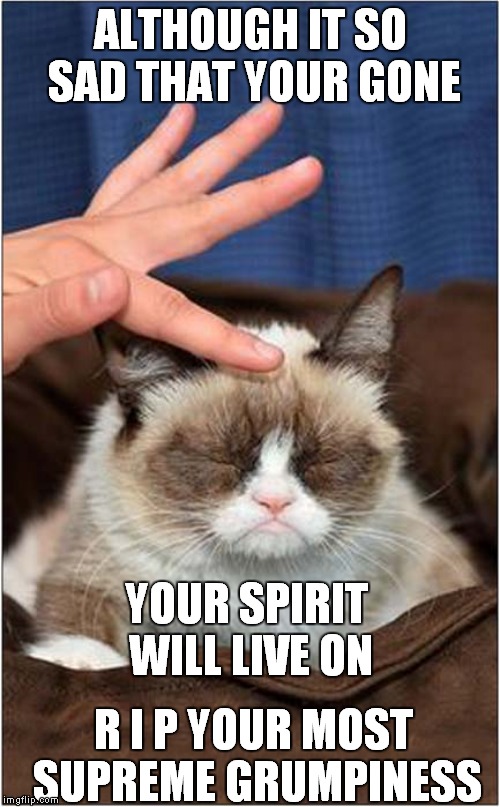 R I P Grumpy | ALTHOUGH IT SO SAD THAT YOUR GONE; YOUR SPIRIT WILL LIVE ON; R I P YOUR MOST SUPREME GRUMPINESS | image tagged in cats,grumpy cat | made w/ Imgflip meme maker