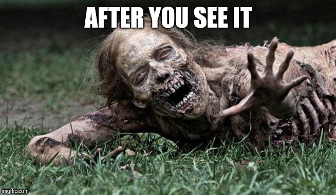 Walking Dead Zombie | AFTER YOU SEE IT | image tagged in walking dead zombie | made w/ Imgflip meme maker