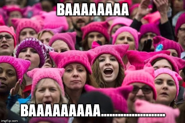 Pussy hats | BAAAAAAAA BAAAAAAAAA....................... | image tagged in pussy hats | made w/ Imgflip meme maker