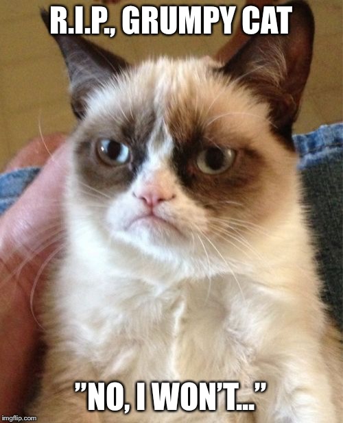 Grumpy Cat Meme | R.I.P., GRUMPY CAT; ”NO, I WON’T...” | image tagged in memes,grumpy cat | made w/ Imgflip meme maker