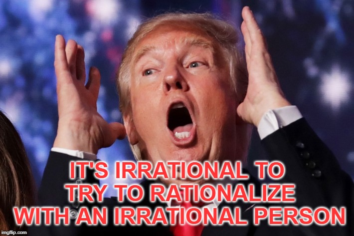 Trump crazy insane | IT'S IRRATIONAL TO TRY TO RATIONALIZE WITH AN IRRATIONAL PERSON | image tagged in trump crazy insane | made w/ Imgflip meme maker