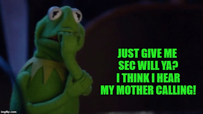 Nervous Kermit | JUST GIVE ME SEC WILL YA? I THINK I HEAR MY MOTHER CALLING! | image tagged in nervous kermit | made w/ Imgflip meme maker