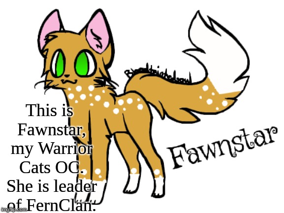Fawnstar of FernClan | This is Fawnstar, my Warrior Cats OC. She is leader of FernClan. | image tagged in warrior cats,cats,original character | made w/ Imgflip meme maker