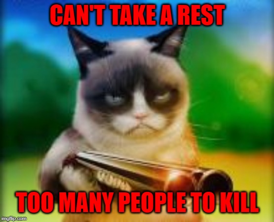 CAN'T TAKE A REST TOO MANY PEOPLE TO KILL | made w/ Imgflip meme maker