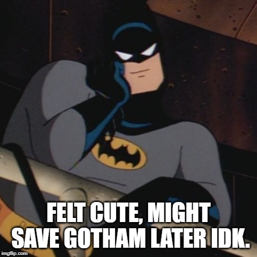 FELT CUTE, MIGHT SAVE GOTHAM LATER IDK. | image tagged in felt cute | made w/ Imgflip meme maker