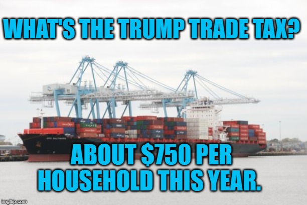 Cargo Ship | WHAT'S THE TRUMP TRADE TAX? ABOUT $750 PER HOUSEHOLD THIS YEAR. | image tagged in politics | made w/ Imgflip meme maker