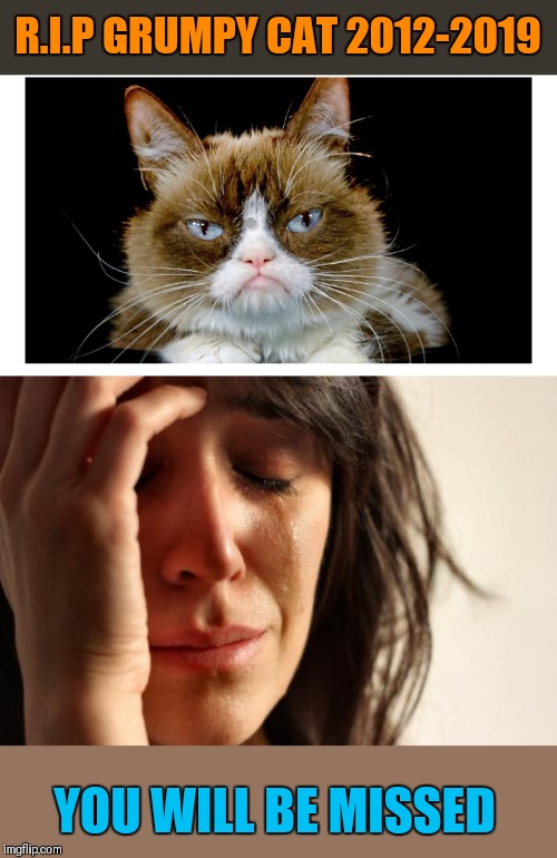 Sad news:'( | R.I.P GRUMPY CAT 2012-2019; YOU WILL BE MISSED | image tagged in memes,first world problems,grumpy cat,sad,you will be missed,death | made w/ Imgflip meme maker