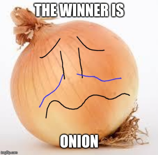 Onion | THE WINNER IS ONION | image tagged in onion | made w/ Imgflip meme maker