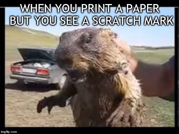 hate this i scream | WHEN YOU PRINT A PAPER BUT YOU SEE A SCRATCH MARK | image tagged in hate this i scream | made w/ Imgflip meme maker