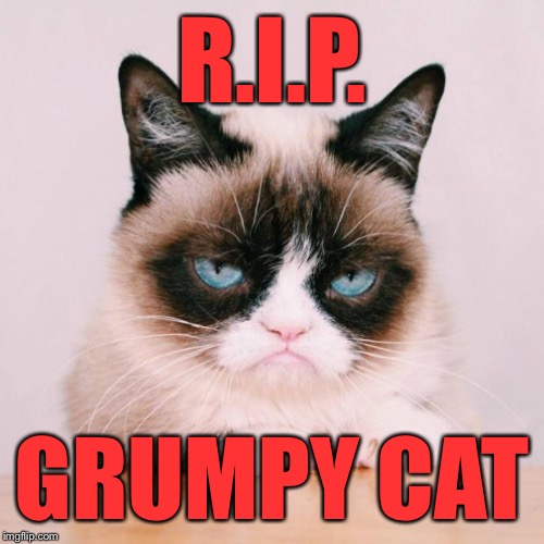 We must never forget. | R.I.P. GRUMPY CAT | image tagged in grumpy cat again,memes,grumpy cat | made w/ Imgflip meme maker
