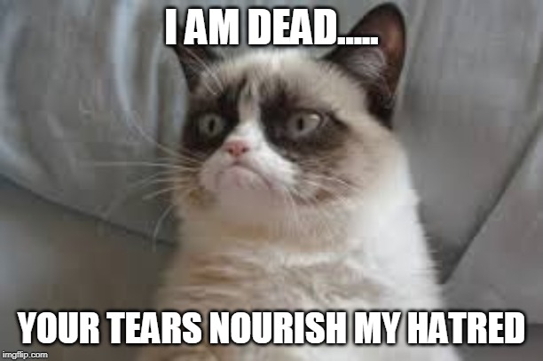 Grumpy cat | I AM DEAD..... YOUR TEARS NOURISH MY HATRED | image tagged in grumpy cat | made w/ Imgflip meme maker