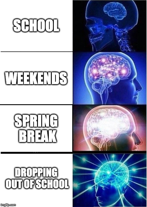 Expanding Brain | SCHOOL; WEEKENDS; SPRING BREAK; DROPPING OUT OF SCHOOL | image tagged in memes,expanding brain | made w/ Imgflip meme maker