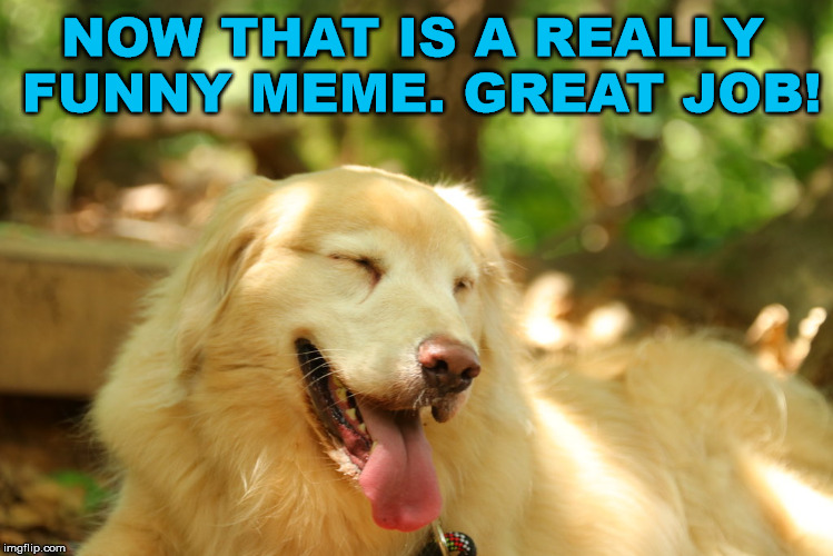 Dog laughing | NOW THAT IS A REALLY FUNNY MEME. GREAT JOB! | image tagged in dog laughing | made w/ Imgflip meme maker