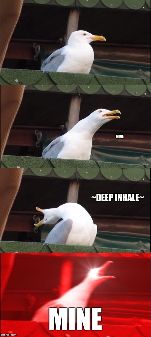 Inhaling Seagull Meme | MINE; ~DEEP INHALE~; MINE | image tagged in memes,inhaling seagull | made w/ Imgflip meme maker