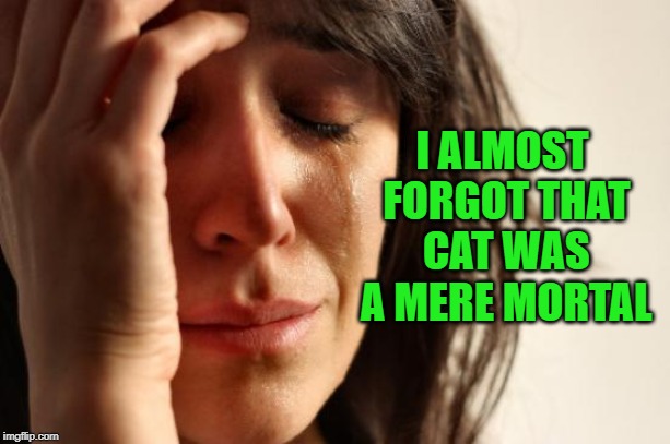 First World Problems Meme | I ALMOST FORGOT THAT CAT WAS A MERE MORTAL | image tagged in memes,first world problems | made w/ Imgflip meme maker