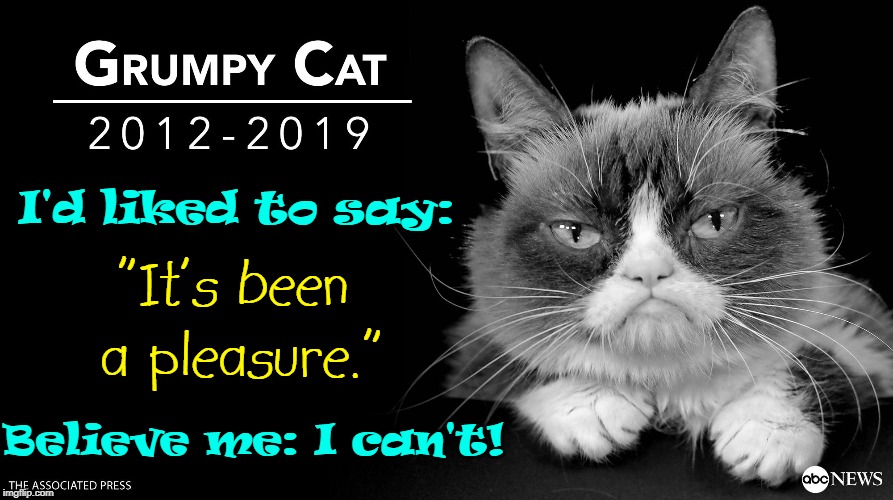 Rest In Peace?  Not if you're there. Sincerely, Grumpy Cat | I'd liked to say:; "It's been a pleasure."; Believe me: I can't! | image tagged in vince vance,cats,last words,pet heaven,grumpy cat,grumpy cat again | made w/ Imgflip meme maker