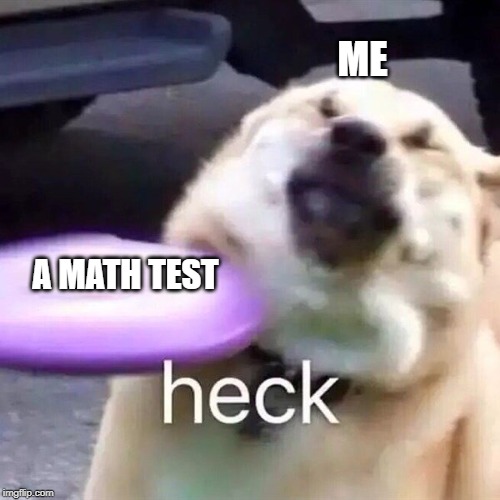 Me vs Math test | ME; A MATH TEST | image tagged in dogs,math | made w/ Imgflip meme maker