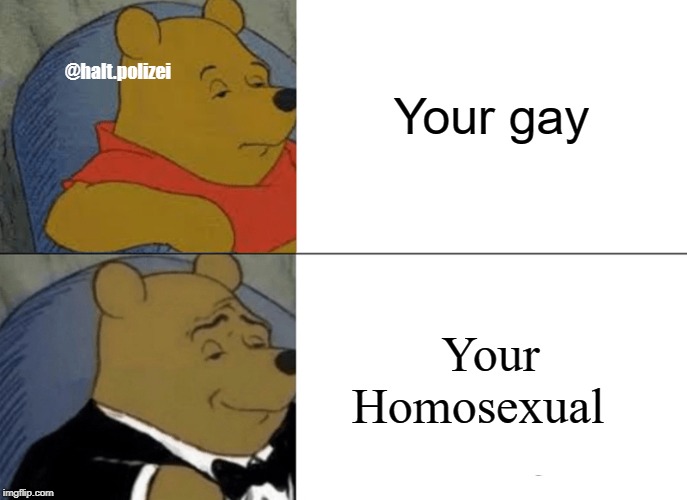 Tuxedo Winnie The Pooh Meme | Your gay; @halt.polizei; Your Homosexual | image tagged in memes,tuxedo winnie the pooh | made w/ Imgflip meme maker