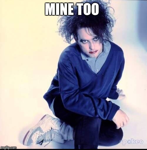 Robert Smith is not amused  | MINE TOO | image tagged in robert smith is not amused | made w/ Imgflip meme maker