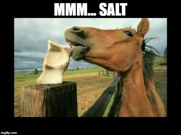 Salt Lick | MMM... SALT | image tagged in salt lick | made w/ Imgflip meme maker