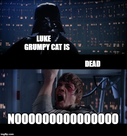 Star Wars No Meme | LUKE                               GRUMPY CAT IS                                                                           
                                   DEAD; NOOOOOOOOOOOOOOO | image tagged in memes,star wars no | made w/ Imgflip meme maker