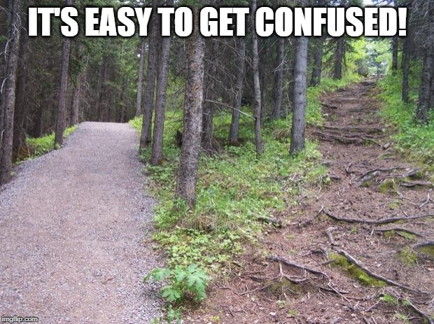 Path split in forest | IT'S EASY TO GET CONFUSED! | image tagged in path split in forest | made w/ Imgflip meme maker