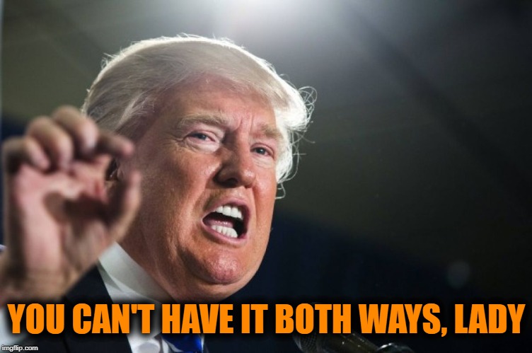 donald trump | YOU CAN'T HAVE IT BOTH WAYS, LADY | image tagged in donald trump | made w/ Imgflip meme maker