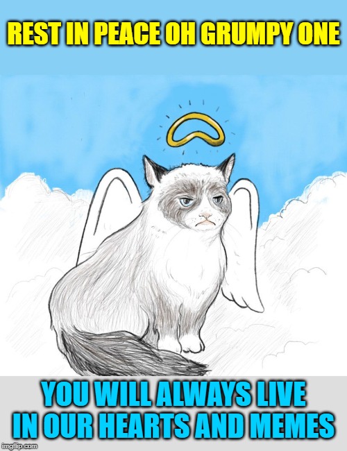 Thank You For The Laughs And Insults! |  REST IN PEACE OH GRUMPY ONE; YOU WILL ALWAYS LIVE IN OUR HEARTS AND MEMES | image tagged in memes,grumpy cat,rip,grumpy cat dies,grumpy,you will be missed | made w/ Imgflip meme maker