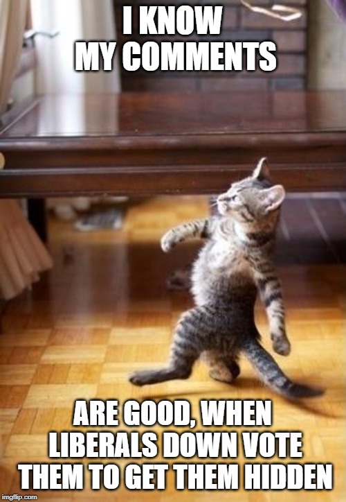 Cool Cat Stroll Meme | I KNOW MY COMMENTS ARE GOOD, WHEN LIBERALS DOWN VOTE THEM TO GET THEM HIDDEN | image tagged in memes,cool cat stroll | made w/ Imgflip meme maker