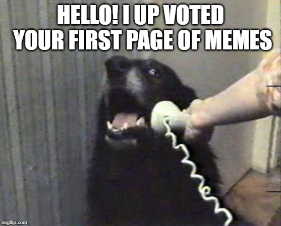 hello this is dog | HELLO! I UP VOTED YOUR FIRST PAGE OF MEMES | image tagged in hello this is dog | made w/ Imgflip meme maker