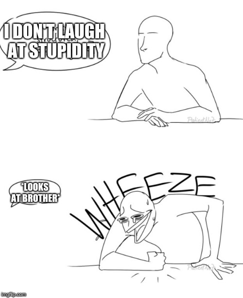 Wheeze | I DON'T LAUGH AT STUPIDITY; *LOOKS AT BROTHER* | image tagged in wheeze | made w/ Imgflip meme maker