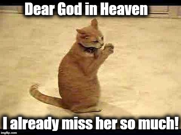 Dear God in Heaven I already miss her so much! | made w/ Imgflip meme maker