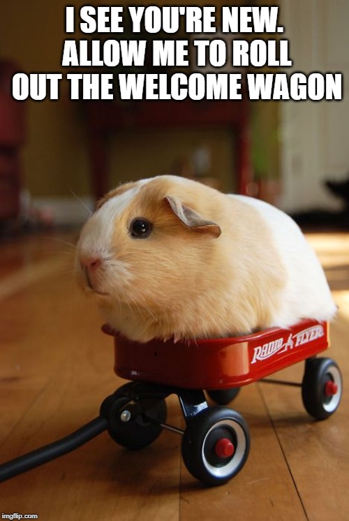 Welcome Wagon | I SEE YOU'RE NEW. ALLOW ME TO ROLL OUT THE WELCOME WAGON | image tagged in welcome wagon | made w/ Imgflip meme maker