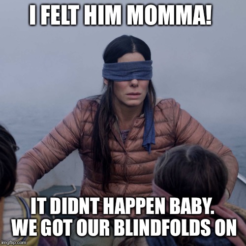 Bird Box | I FELT HIM MOMMA! IT DIDNT HAPPEN BABY. WE GOT OUR BLINDFOLDS ON | image tagged in memes,bird box | made w/ Imgflip meme maker