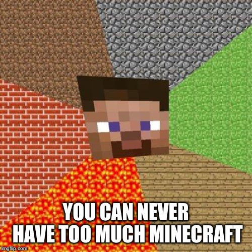 Minecraft Steve | YOU CAN NEVER HAVE TOO MUCH MINECRAFT | image tagged in minecraft steve | made w/ Imgflip meme maker