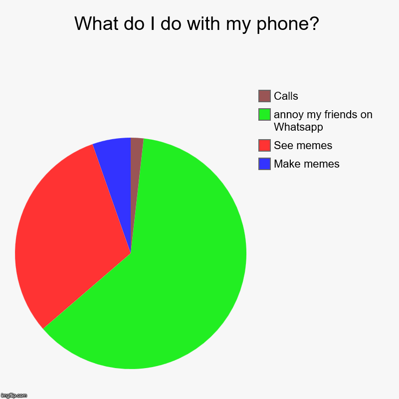 What do I do with my phone? | Make memes, See memes, annoy my friends on Whatsapp, Calls | image tagged in charts,pie charts | made w/ Imgflip chart maker