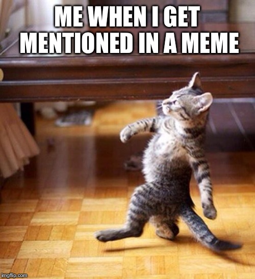 Swag cat | ME WHEN I GET MENTIONED IN A MEME | image tagged in swag cat | made w/ Imgflip meme maker