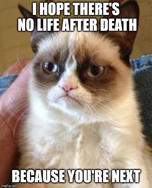 Grumpy Cat Meme | I HOPE THERE'S NO LIFE AFTER DEATH; BECAUSE YOU'RE NEXT | image tagged in memes,grumpy cat | made w/ Imgflip meme maker