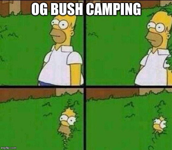 Homer Simpson in Bush - Large | OG BUSH CAMPING | image tagged in homer simpson in bush - large | made w/ Imgflip meme maker