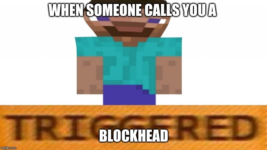 WHEN SOMEONE CALLS YOU A; BLOCKHEAD | image tagged in minecraft | made w/ Imgflip meme maker