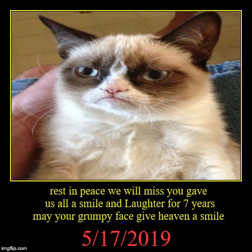 grumpy cay r.i.p | image tagged in funny,demotivationals,rest in peace,meme,memes,grumpy cat | made w/ Imgflip demotivational maker